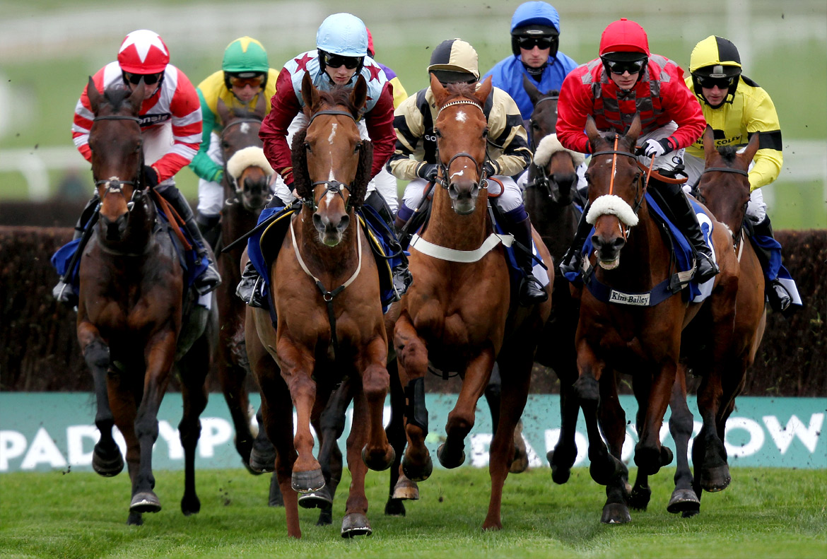Fanduel horse racing promo code Fanduel horse racing promo code how to win sport betting daily